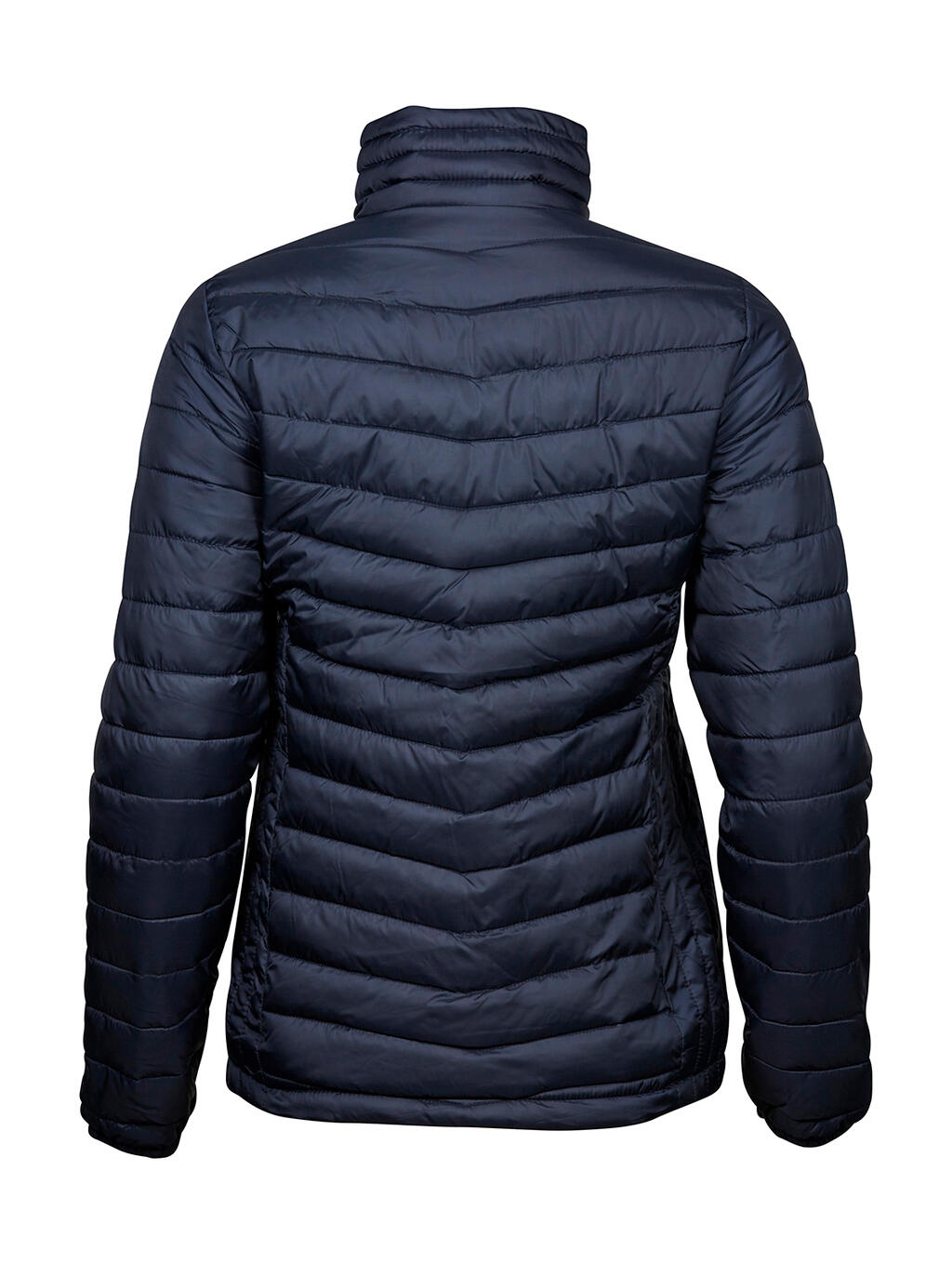 Zepelin Jacke