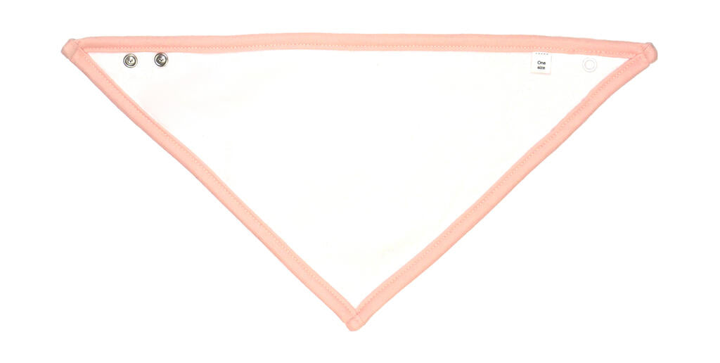 Bandana Bib