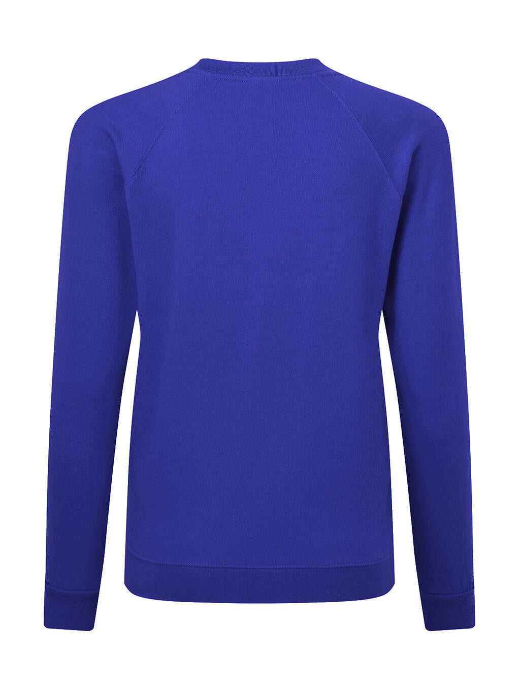 Raglan Sweatshirt