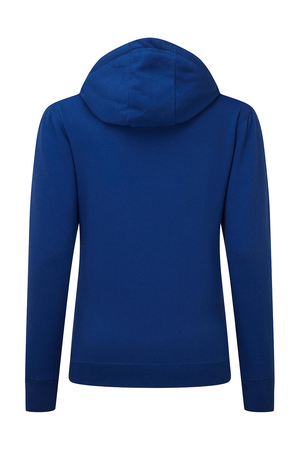 Contrast Hooded Sweatshirt