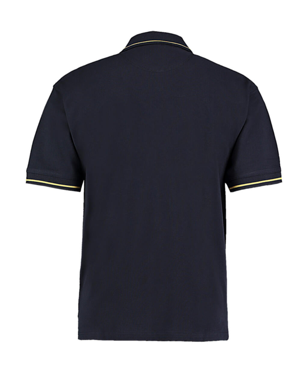 St. Mellion Polo