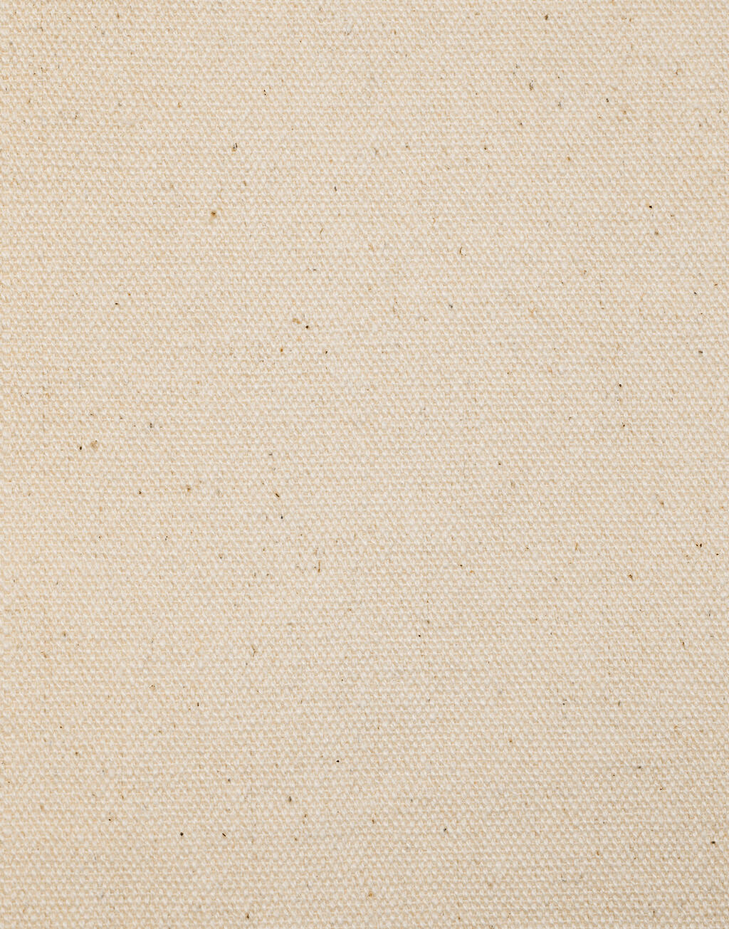 Canvas Tote LH
