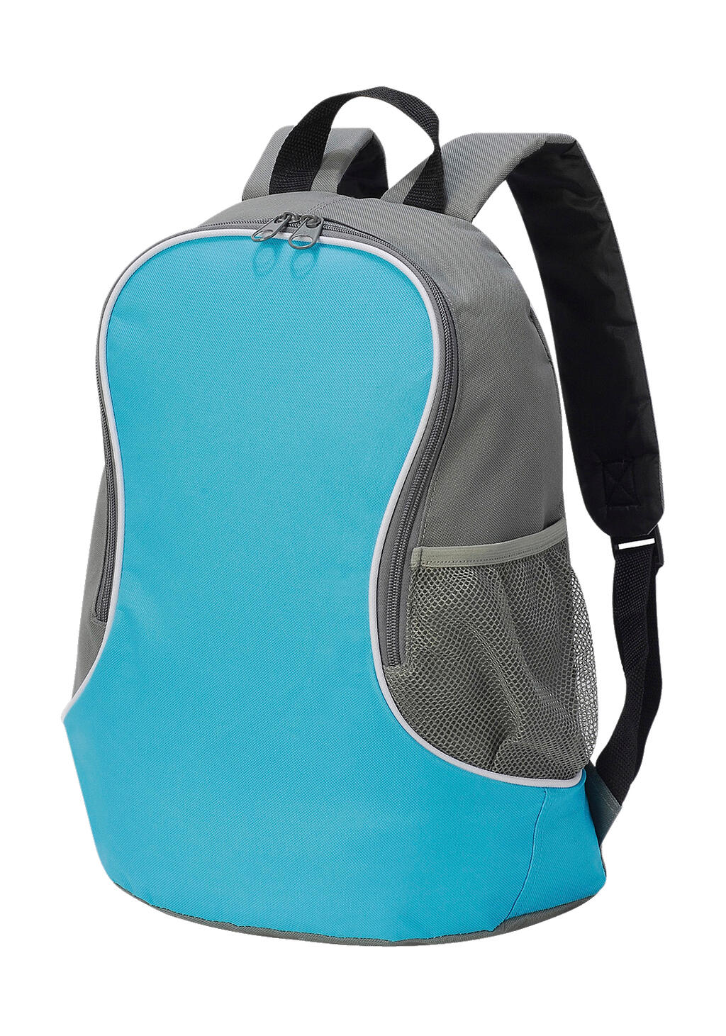 Fuji Basic Backpack