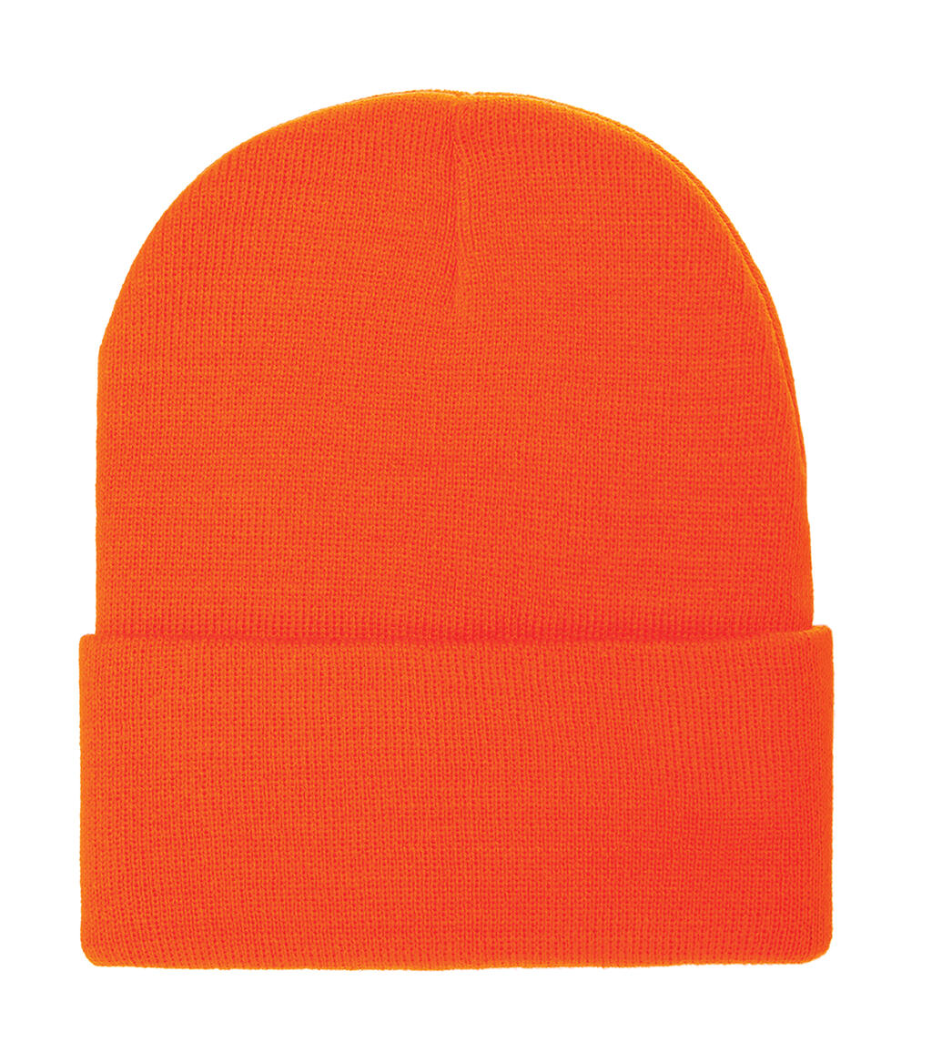 Thinsulate Beanie