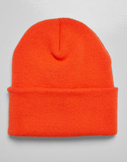 Thinsulate Beanie