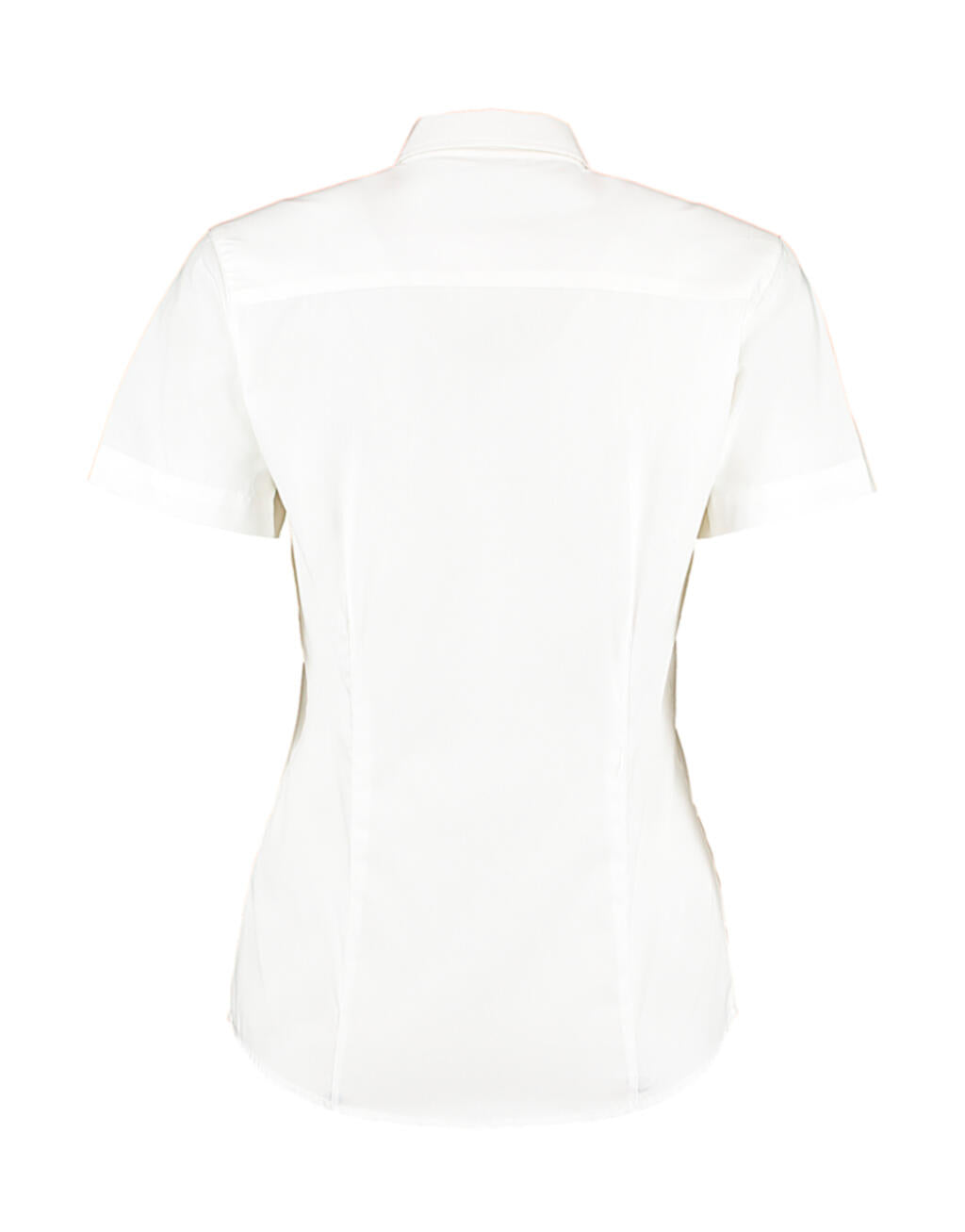 Oxford Shirt